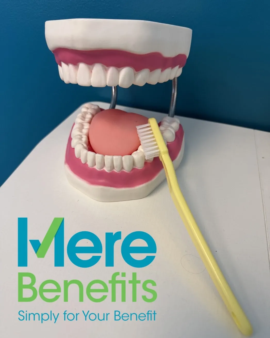 A dental model and toothbrush on a Mere Benefits backdrop